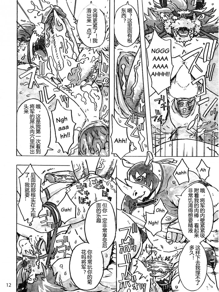 [Dragon Heart (gamma)] Choujuu Gasshin Build Tiger 10 [Chinese] - Page 14