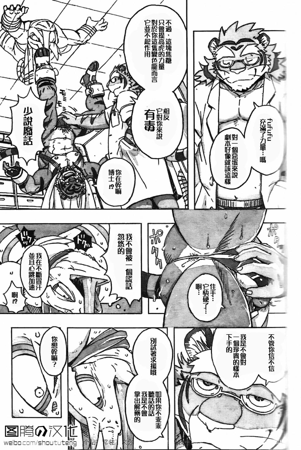 [Dragon Heart (gamma)] Choujuu Gasshin Build Tiger 11 [Chinese] - Page 12