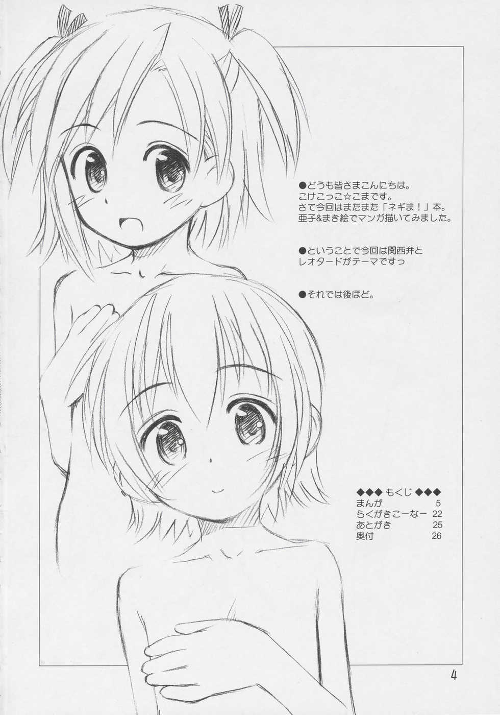 (C69) [Jido-Hikki (Kokekokko Coma)] Ho-kago wa Shintaisou! (Mahou Sensei Negima!) - Page 3