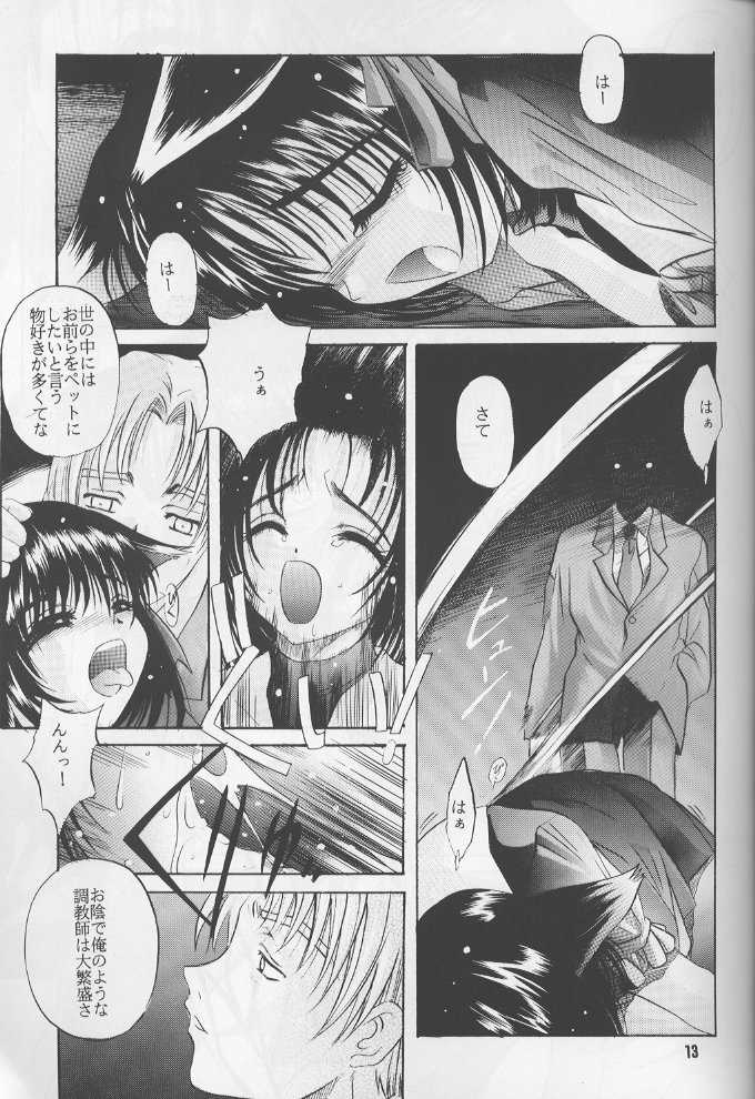 (C60) [Jiyuugaoka Shoutengai (Hiraki Naori)] Ruri Iyarashii Koneko no Shitsukekata - Page 12