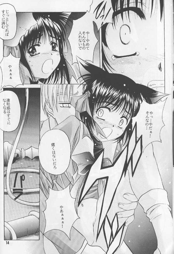 (C60) [Jiyuugaoka Shoutengai (Hiraki Naori)] Ruri Iyarashii Koneko no Shitsukekata - Page 13