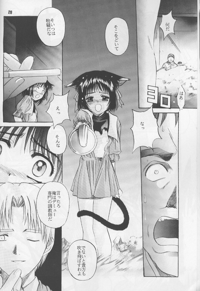 (C60) [Jiyuugaoka Shoutengai (Hiraki Naori)] Ruri Iyarashii Koneko no Shitsukekata - Page 27