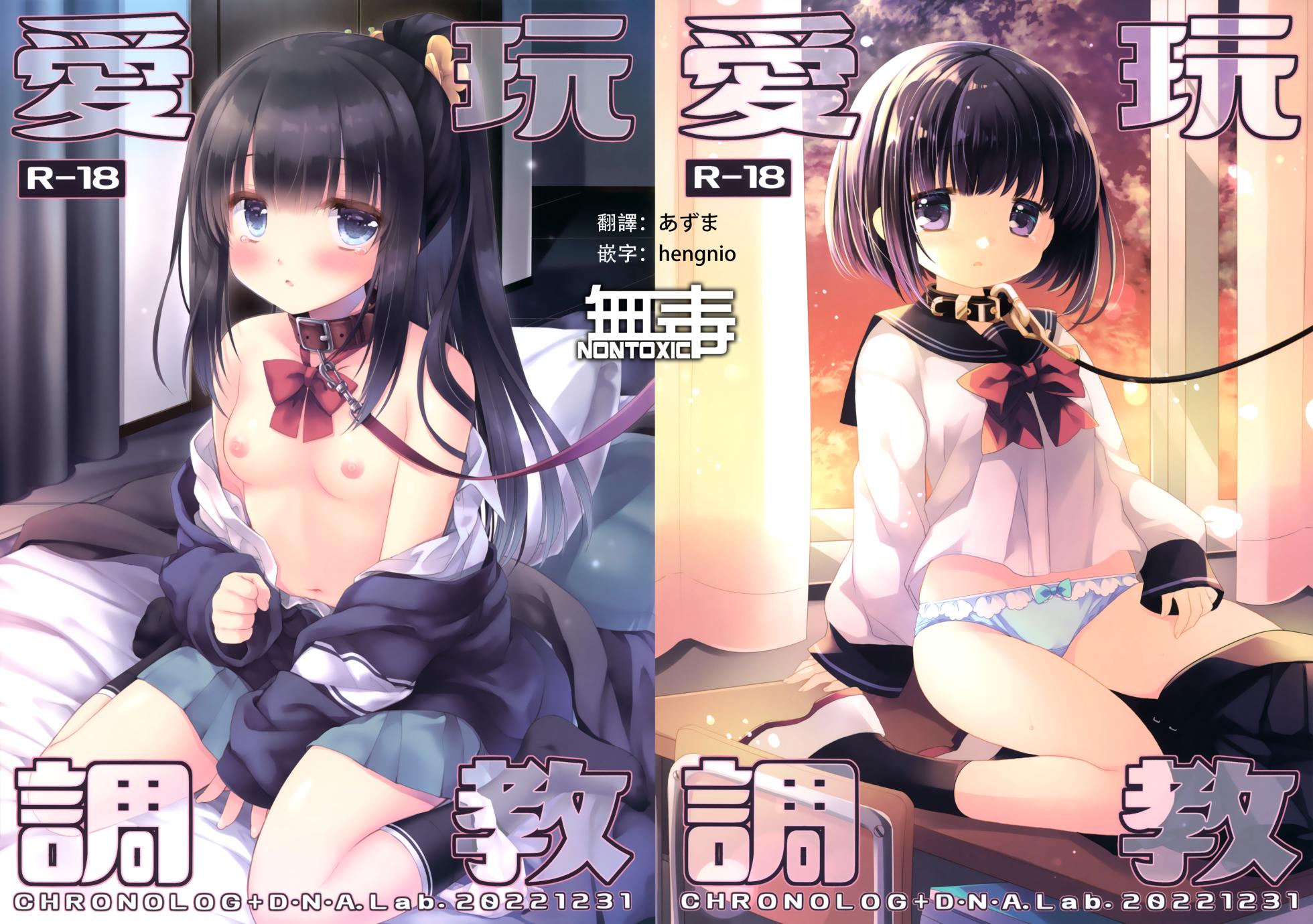 (C101) [D.N.A.Lab., CHRONOLOG (Miyasu Risa, Sakurazawa Izumi)] Aigan Choukyou [Chinese] [无毒汉化组] - Page 1