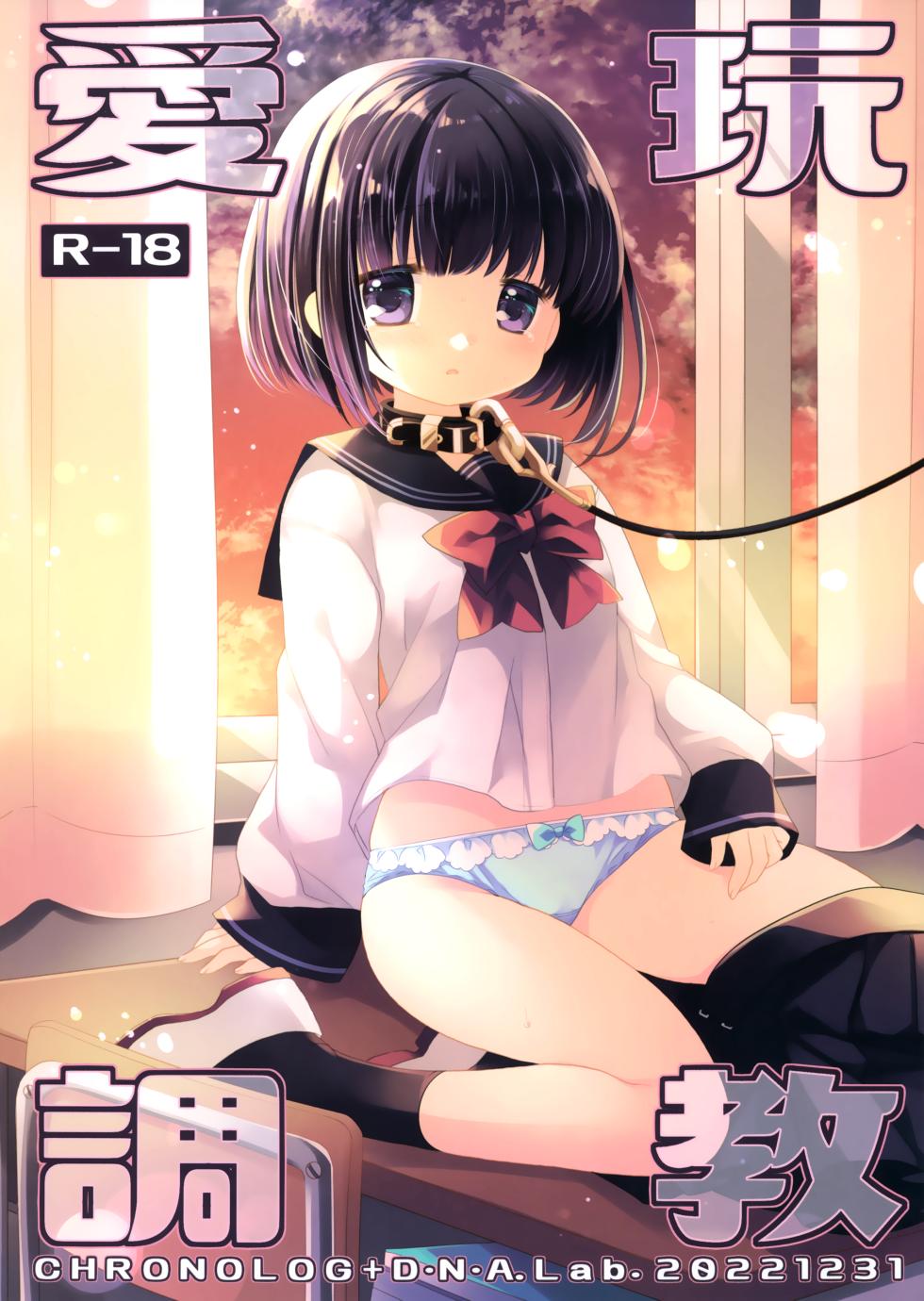 (C101) [D.N.A.Lab., CHRONOLOG (Miyasu Risa, Sakurazawa Izumi)] Aigan Choukyou [Chinese] [无毒汉化组] - Page 3
