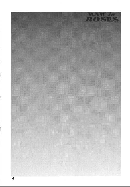 (C68) [Sangatsu no Lion (Don Shigeru)] RAW is ROSES (Rumble Roses) - Page 4