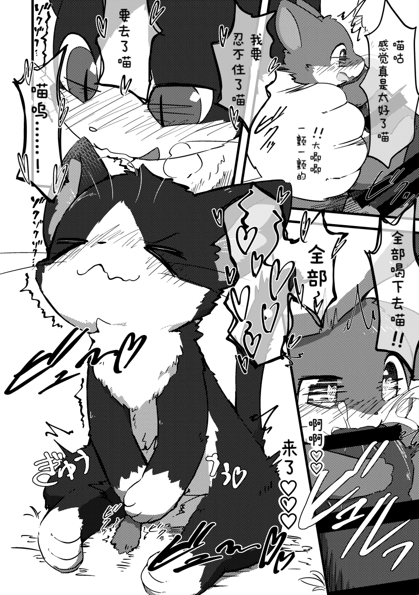 [Funyua] Neko Chin Dakitsuki Gohoushi | 猫猫的贴身服务 [Chinese] [CYJ233个人汉化] - Page 3