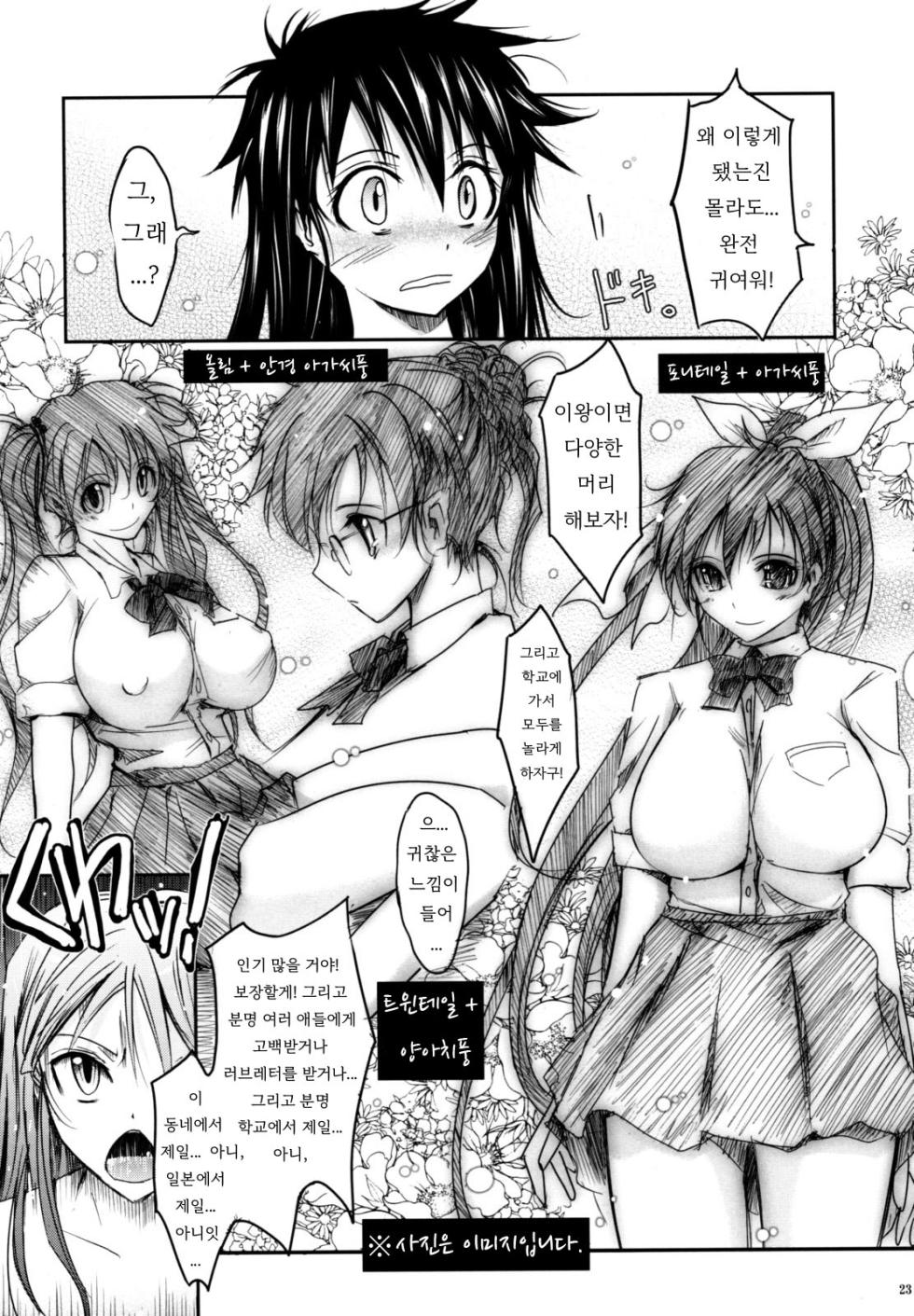 (C74) [Garyuh-Chitai (TANA)] Aki-Akane -ANOTHER DAY- (Bleach) [Korean] - Page 22