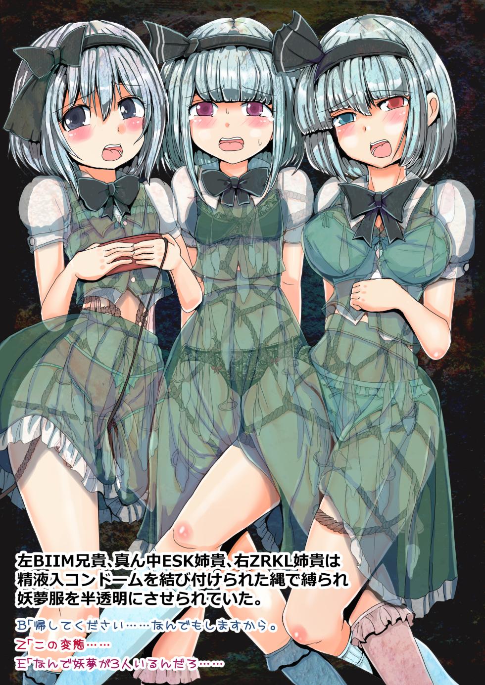 [Anzeri Kai] Touhou Cookie Ero CG Shuu 3 (Touhou Project) - Page 24