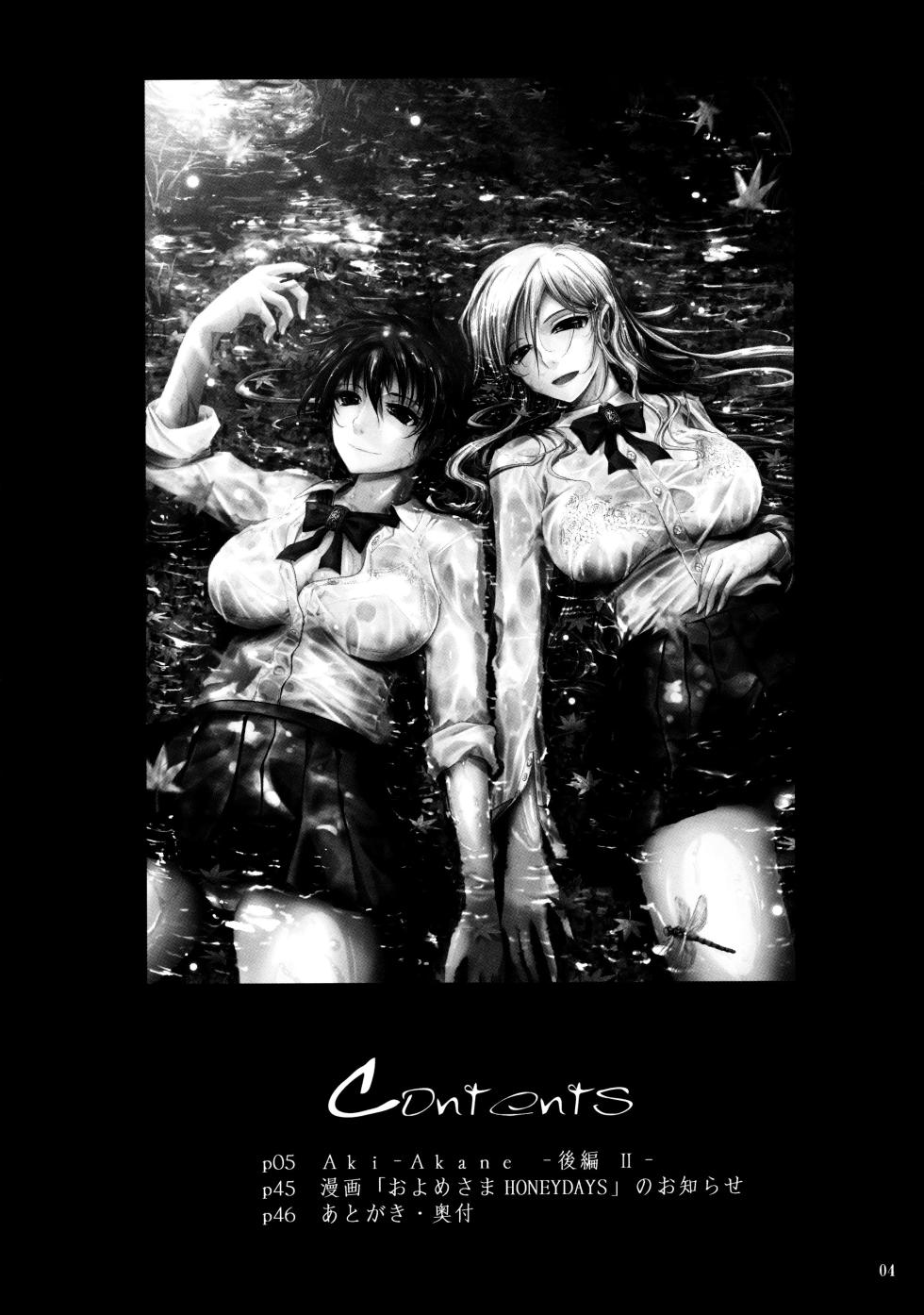 (C76) [Garyuh-Chitai (TANA)] Aki-Akane -Kouhen II- (Bleach) [korean] - Page 3