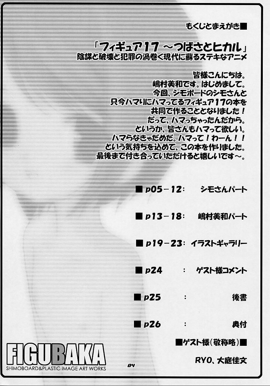 [Shimoboard, PLASTIC IMAGE (Shimosan, Shimamura Miwa)] FIGUBAKA (Figure 17) - Page 3