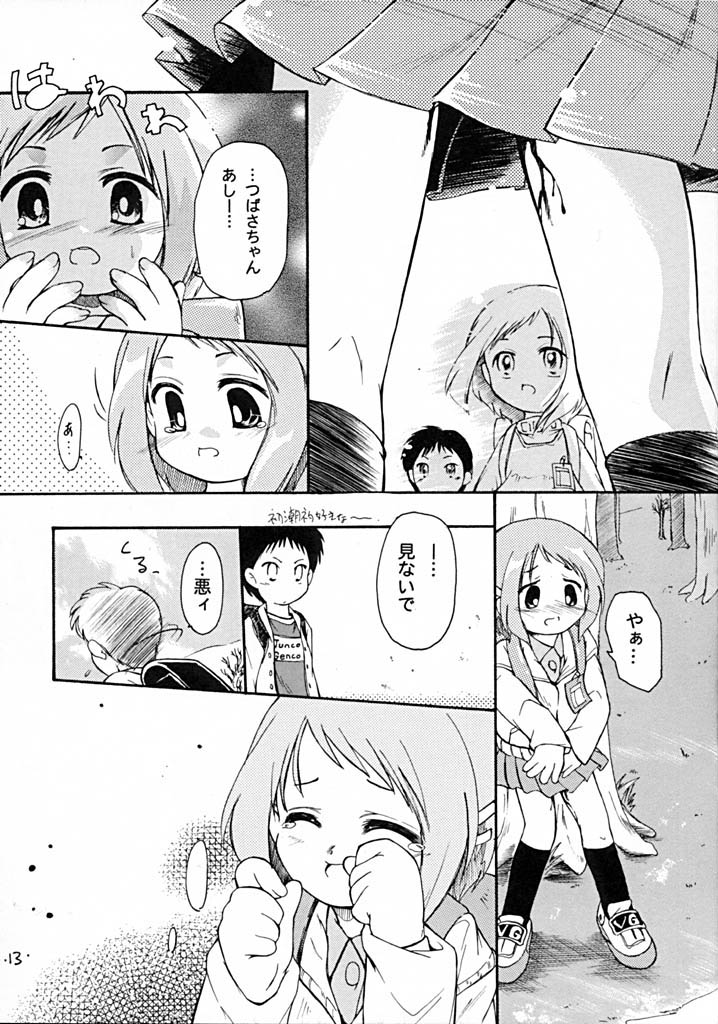 (C61) [Laurier (Kurosaki Mairi)] Petit Chou (Figure 17) - Page 13