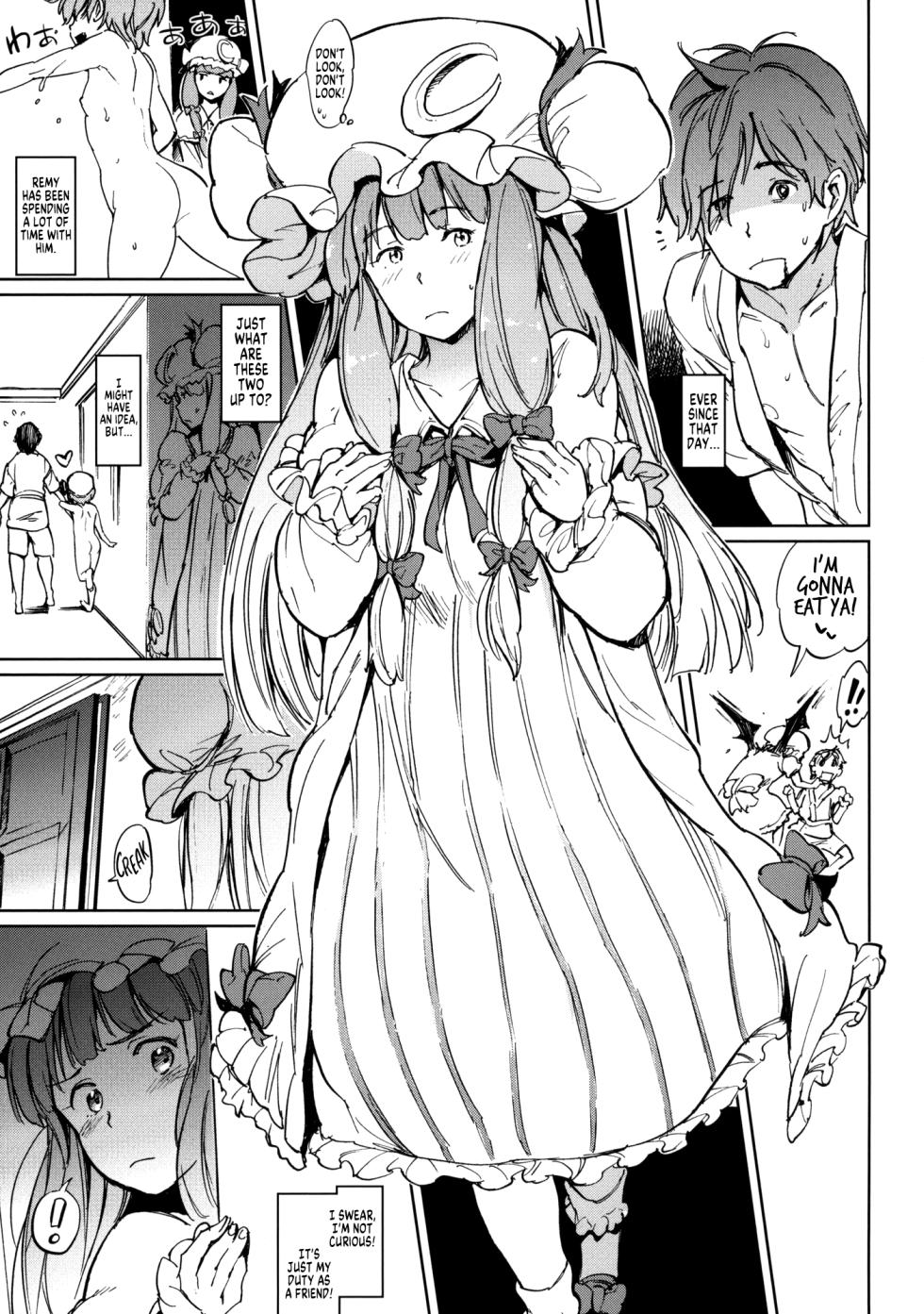 (C88) [Egao de Bouryoku (mogg)] Shinryakusha | Invader (Touhou Project) [English] [MegaFagget] [Digital] - Page 4