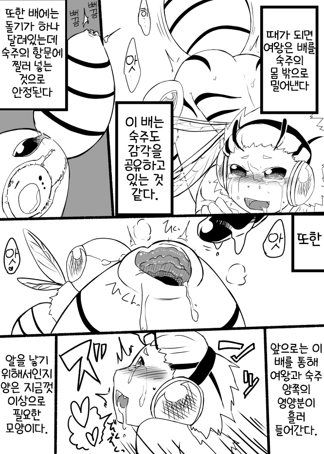 [Yakou Kyoku (Ihama Daka)] Hachi Musume Rakugaki Manga [Korean] [LWND] - Page 11