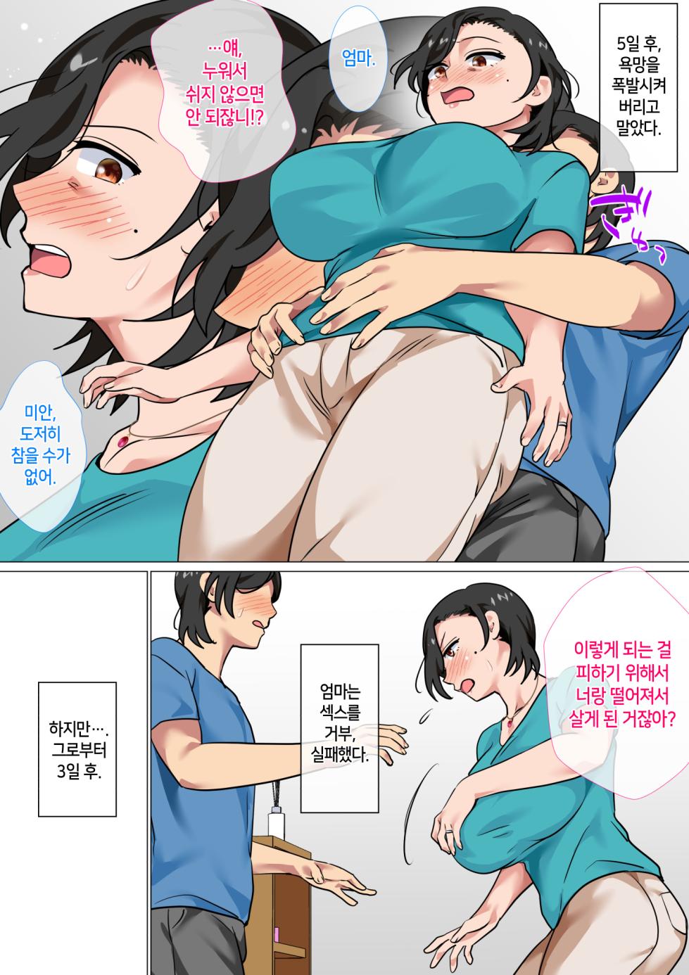 [Circle Spice] Hahaoya ni Kokuhaku Shitara Ichinichi dake Sex o Sasete Kureta Hanashi 2 [Korean] - Page 13