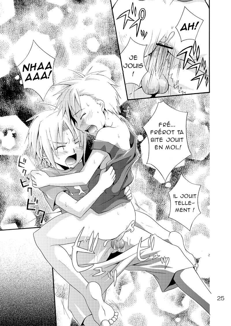 [Panda 4gou (Shima Kyousuke)] Kimame Ni Tsubu Iri (Fullmetal Alchemist) [French] [Nk Translation] - Page 24