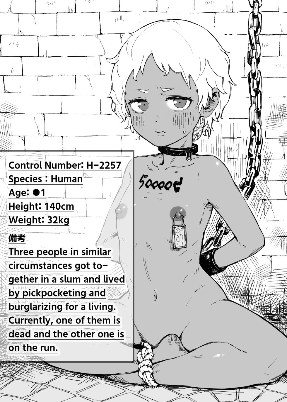 [Iwaku Waku] Isekai Dorei Shijou ni Ittemita. | Slave Market Stroll [Japanese, English] - Page 32