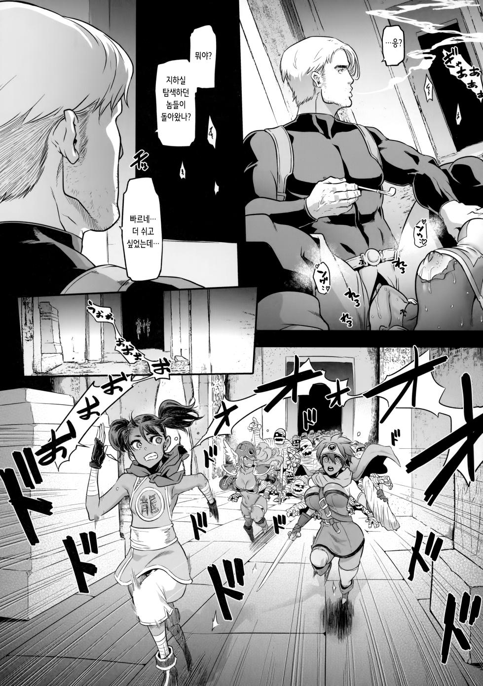 (C101) [DA HOOTCH (ShindoL)] Onna Yuusha no Tabi 5 Injoku no Pyramid | 여자 용사의 여행 5 음욕의 피라미드 (Dragon Quest III) [Korean] - Page 19