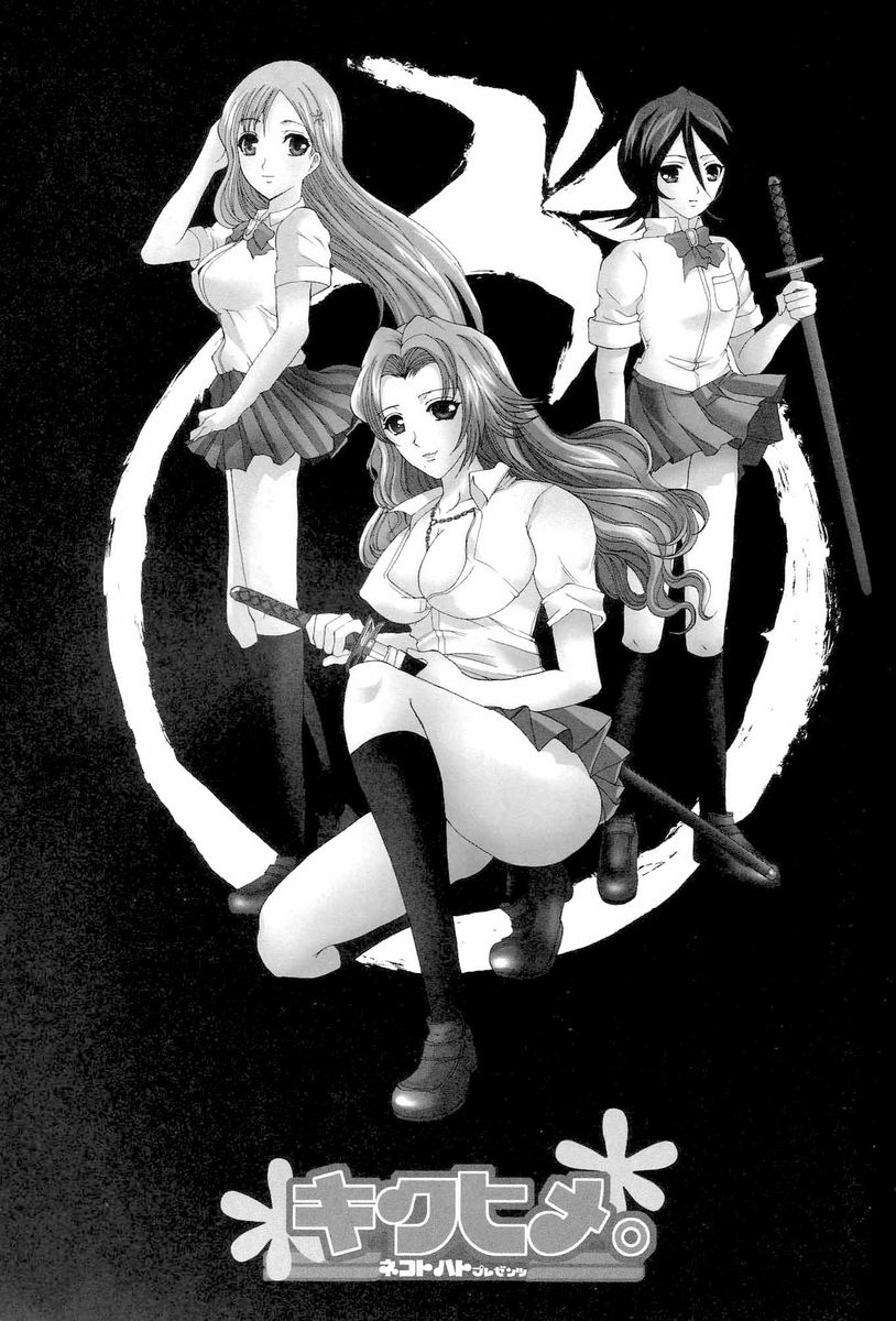 (Kyonyuukko 4) [Neko to Hato (Hatoya Mameshichi)] Kiku Hime. (BLEACH) - Page 2