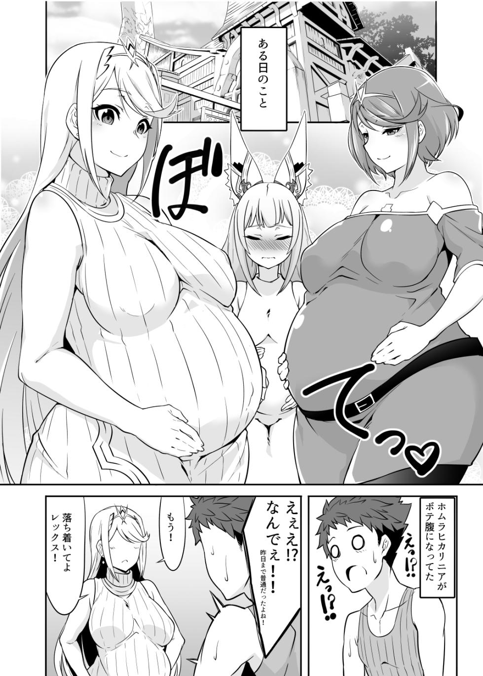 [Shiroi Yami (k-you)] Family Project X (Xenoblade Chronicles 2) [Digital] - Page 4