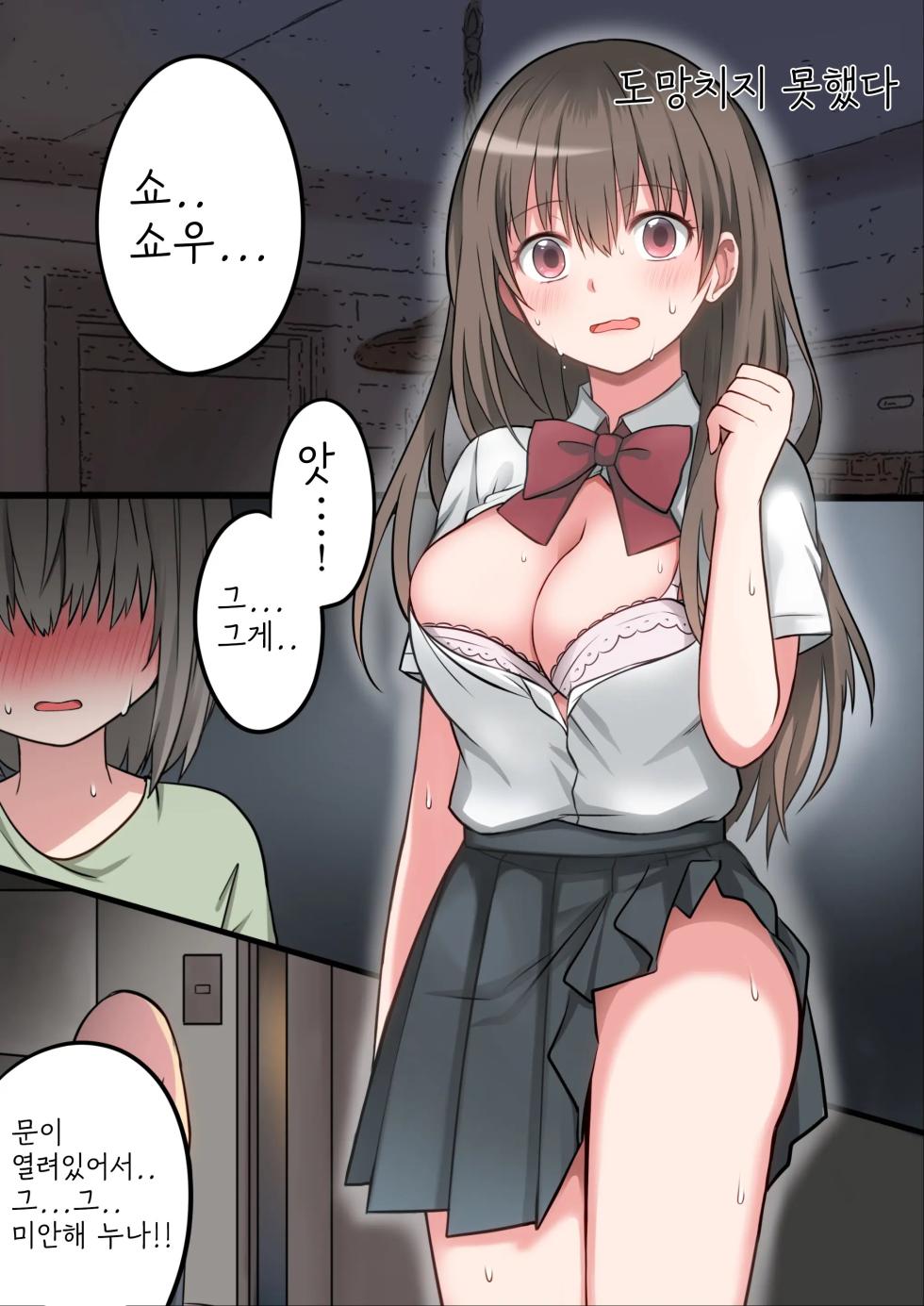 [Macaron Sugar] Seiyoku Tsuyome na Onee-chan to Icha Love Orusuban Ecchi! [korean] - Page 22