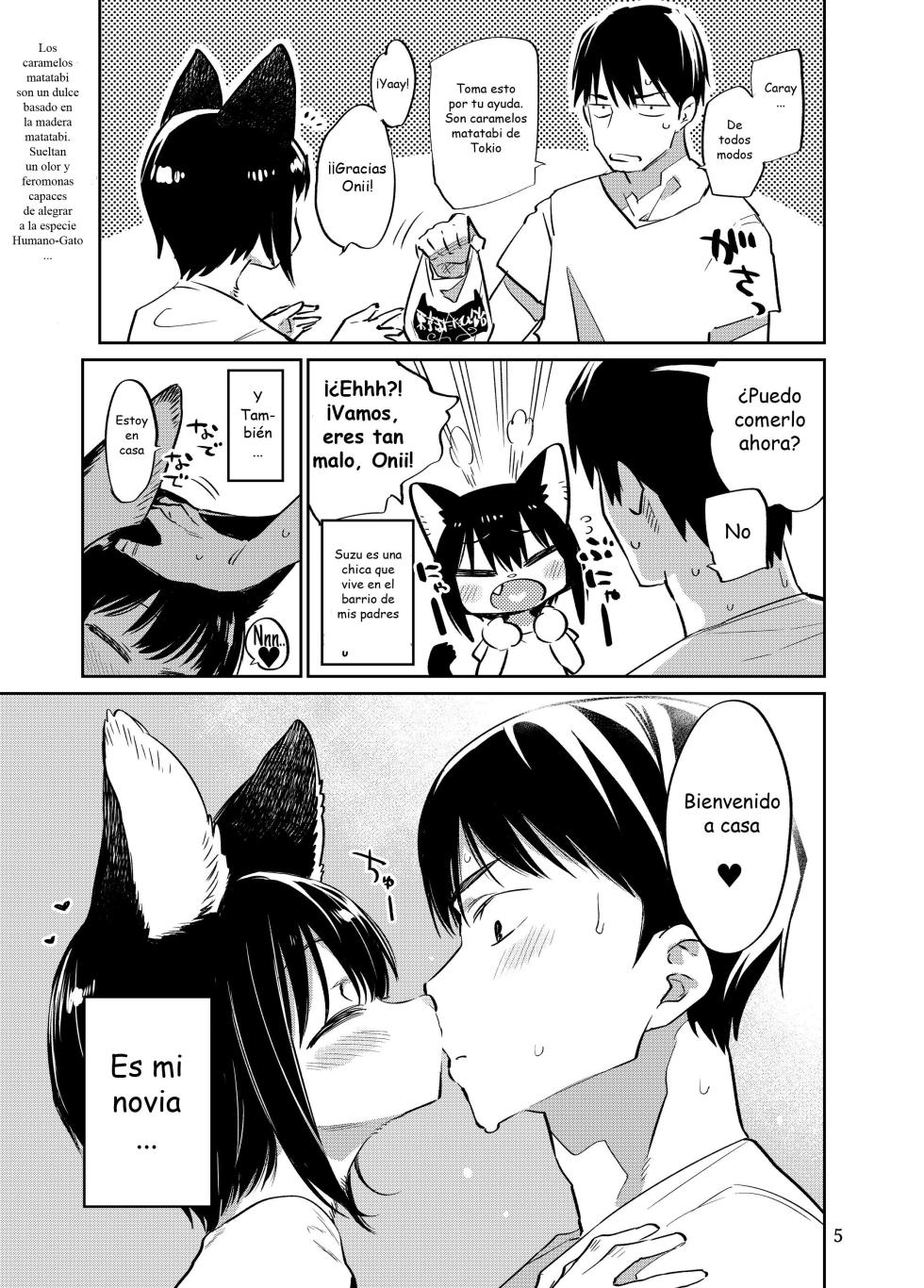 [Mizone Doubutsuen (Mizone)] Tokyo Matatabi Ame | Tokyo Silver Vine Candy [Spanish] [Digital] - Page 4