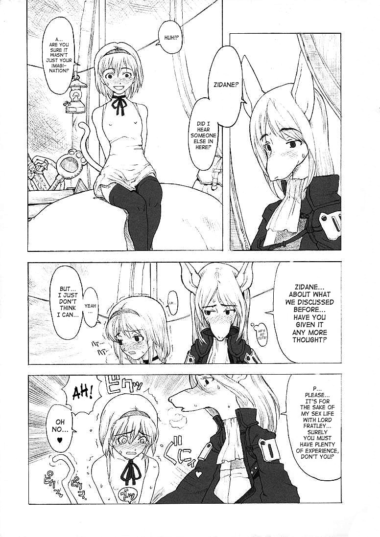 (C58) [Gadget Koubou (A-10)] FINAL PHANTASY (Final Fantasy IX) [English][SaHa] - Page 11