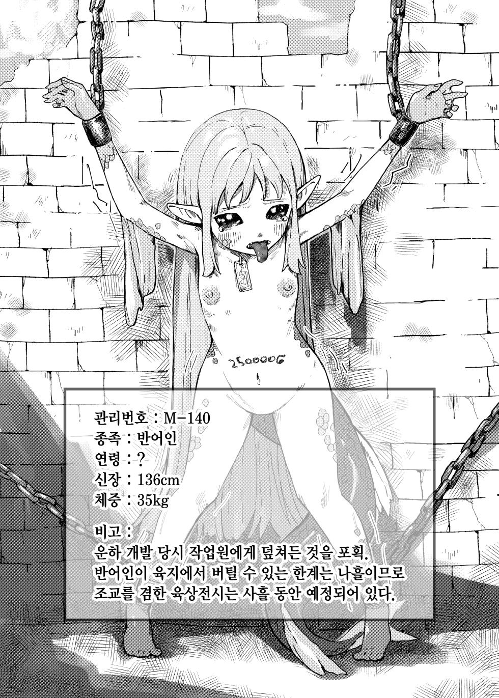 [Iwaku Waku] Isekai Dorei Ichiba ni Ittemita. | 이세계 노예시장에 가 보았다. [Korean] - Page 8