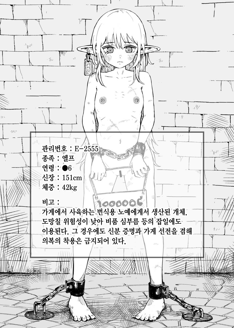 [Iwaku Waku] Isekai Dorei Ichiba ni Ittemita. | 이세계 노예시장에 가 보았다. [Korean] - Page 18