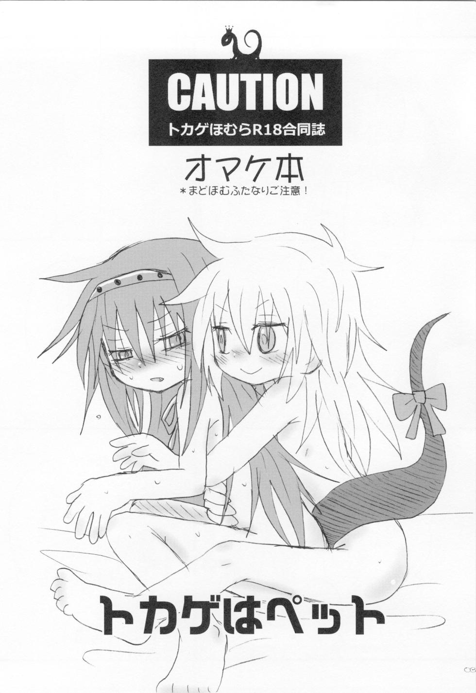 (Mou Nanimo Kowaku Nai 17) [ROUTE885 (8)] Tokage wa Pet (Puella Magi Madoka Magica) - Page 2