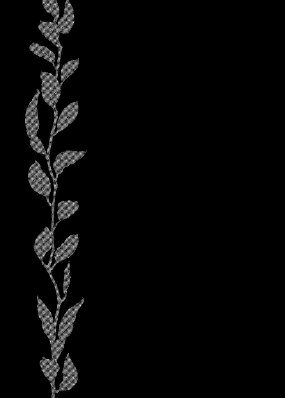 [Tetsukazuno Ao. (Emilio)] Nyotaika Shita Ore wa, Ojisan ni... - Page 2