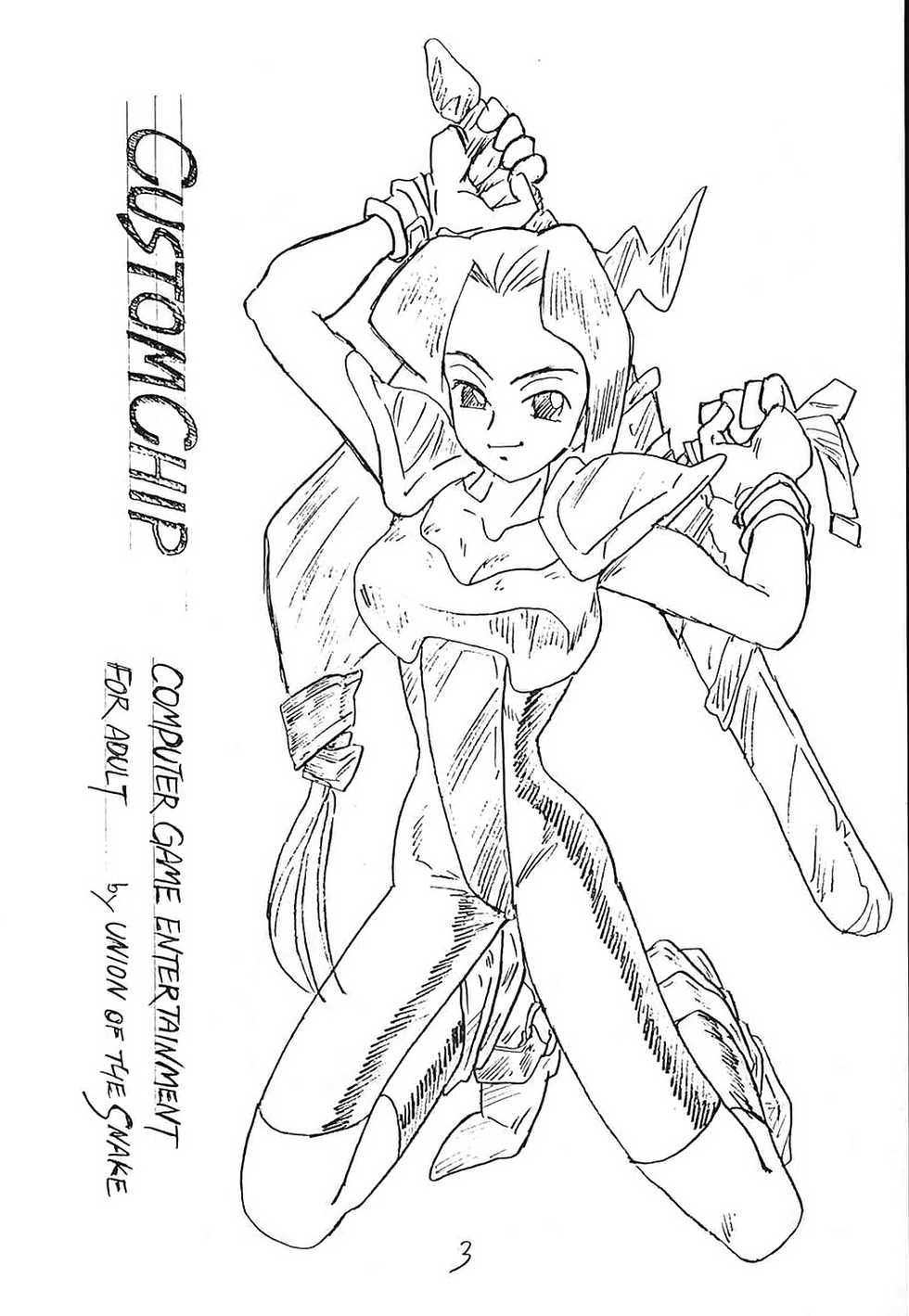 (C44) [UNION OF THE SNAKE (Shinda Mane)] CUSTOMCHIP (Various) - Page 2