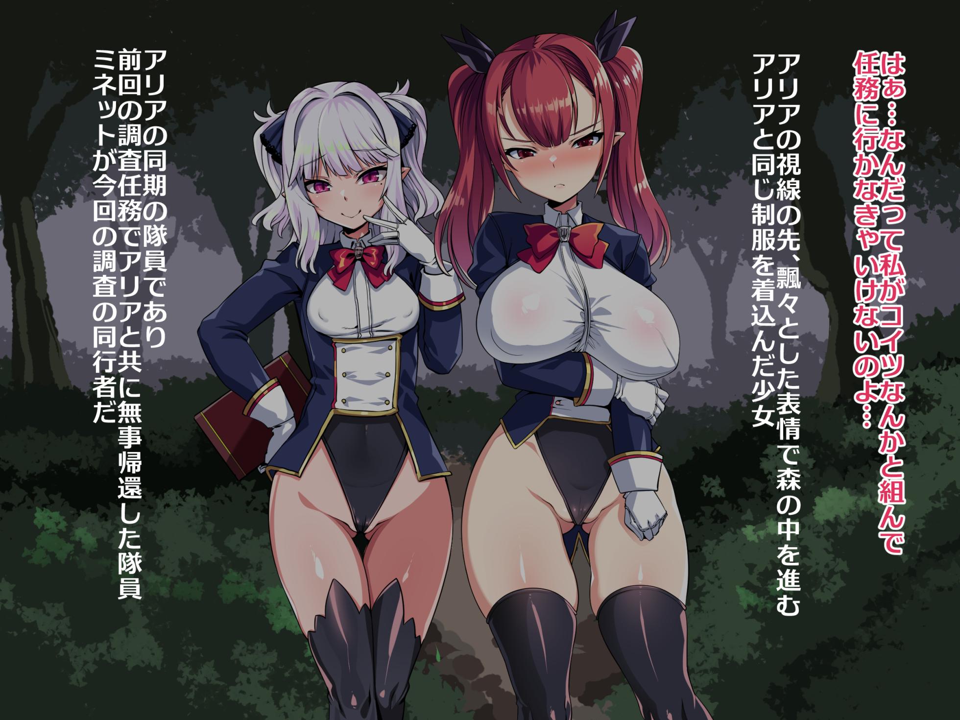 [Harigane Shinshi Doumei (Harigane Shinshi)] Namaiki Elf no Sokumake Kiroku VS Machi no Tamer Orc Hen - Page 4