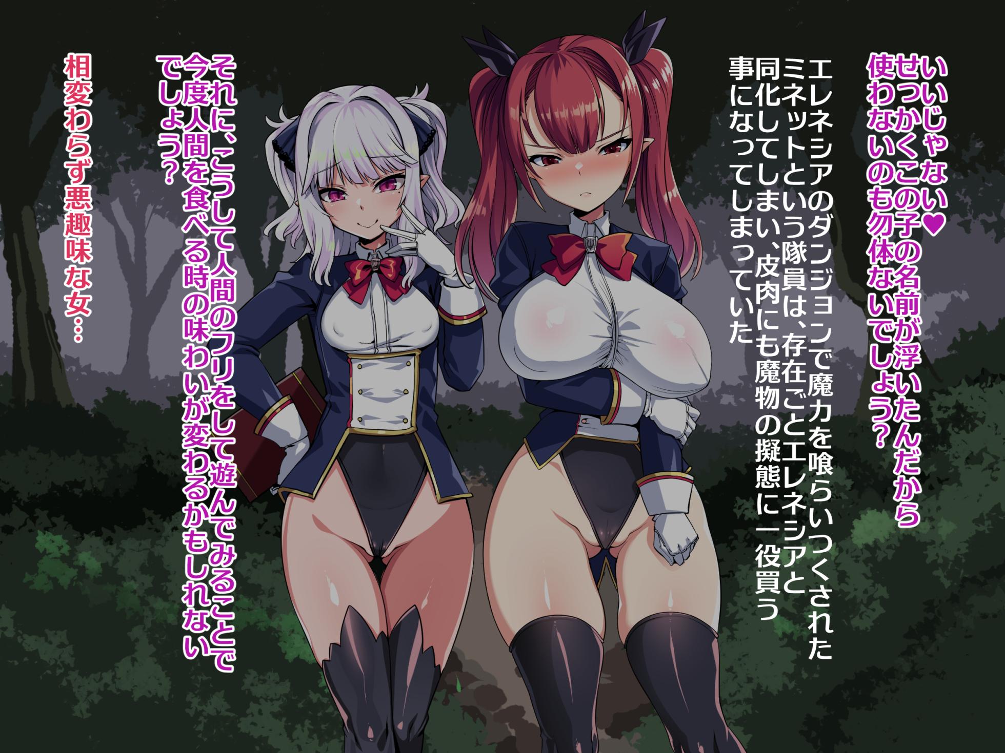 [Harigane Shinshi Doumei (Harigane Shinshi)] Namaiki Elf no Sokumake Kiroku VS Machi no Tamer Orc Hen - Page 6