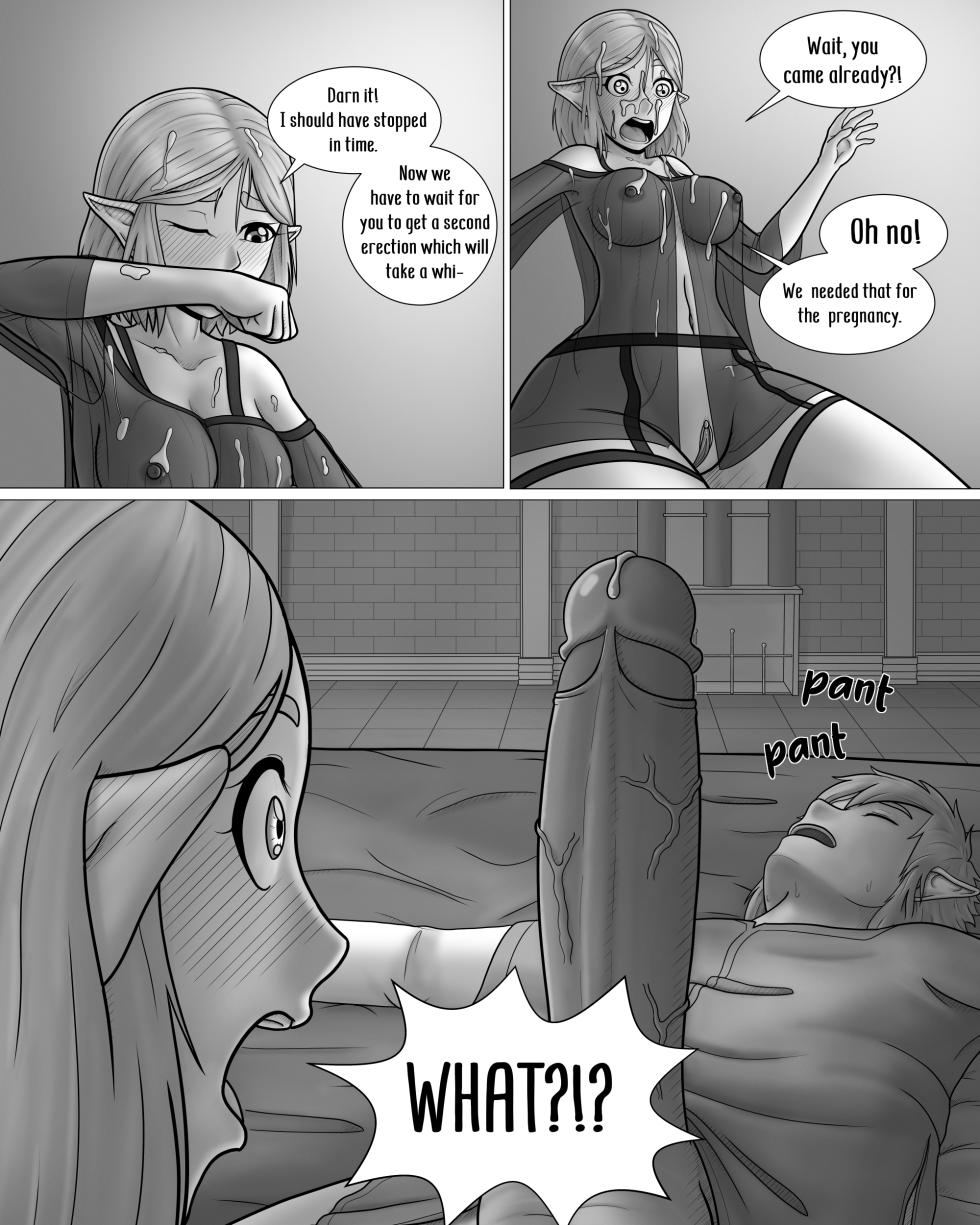 The Legend of Zelda: A Night with the Princess - Page 13