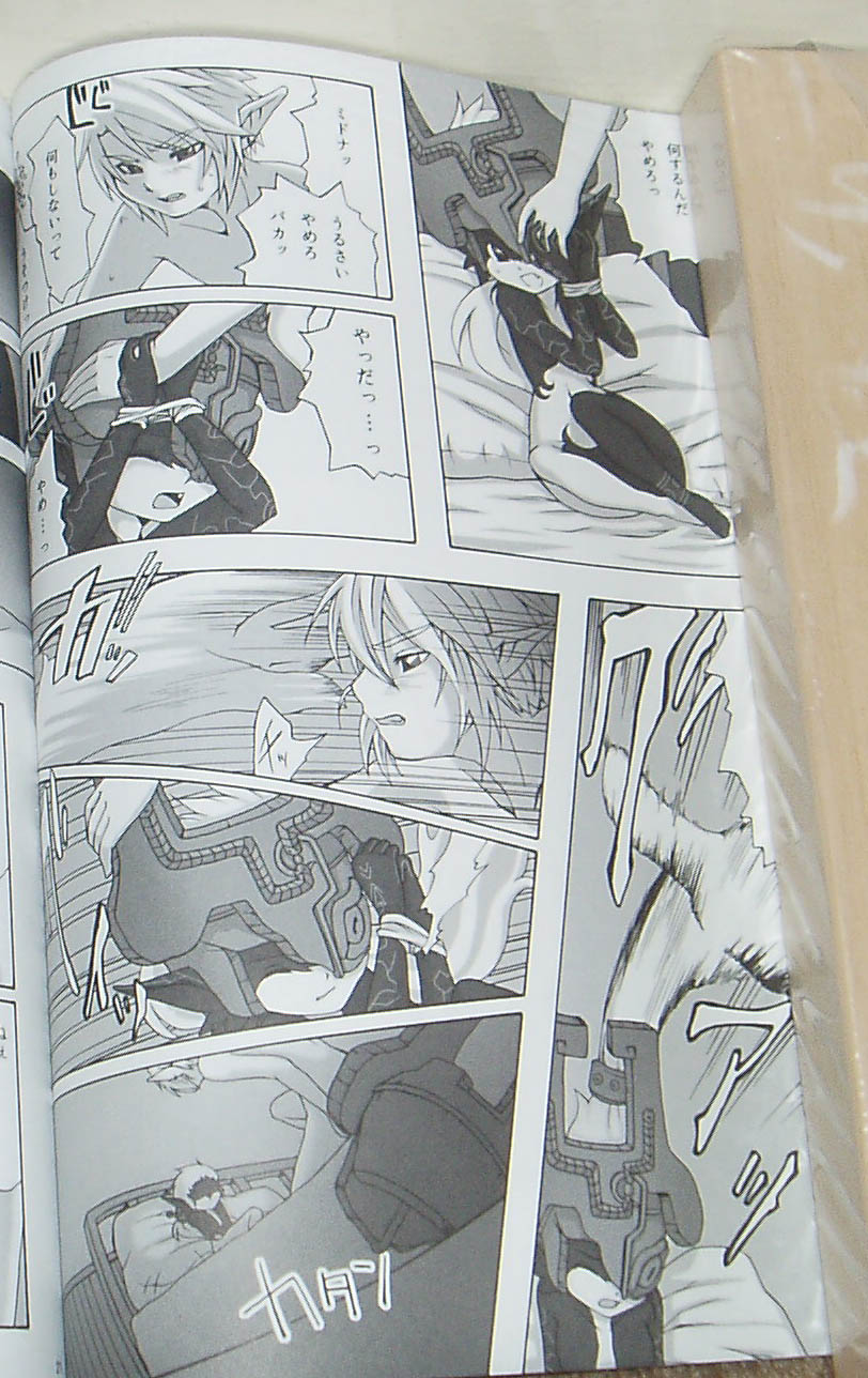 (C74) [Dogear (Inumimi Moeta)] Nekoi Koto (The Legend of Zelda: Twilight Princess) - Page 18