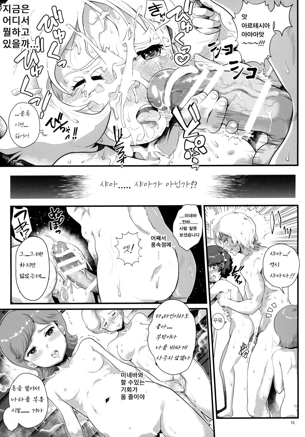 (C99) [Oboro & Tempo Gensui Dou (Tempo Gensui)] Uchuu Seiki Enkou Shoujo ~All Star Kokyu Sauna Club Hen~ (Various) [Korean] - Page 12