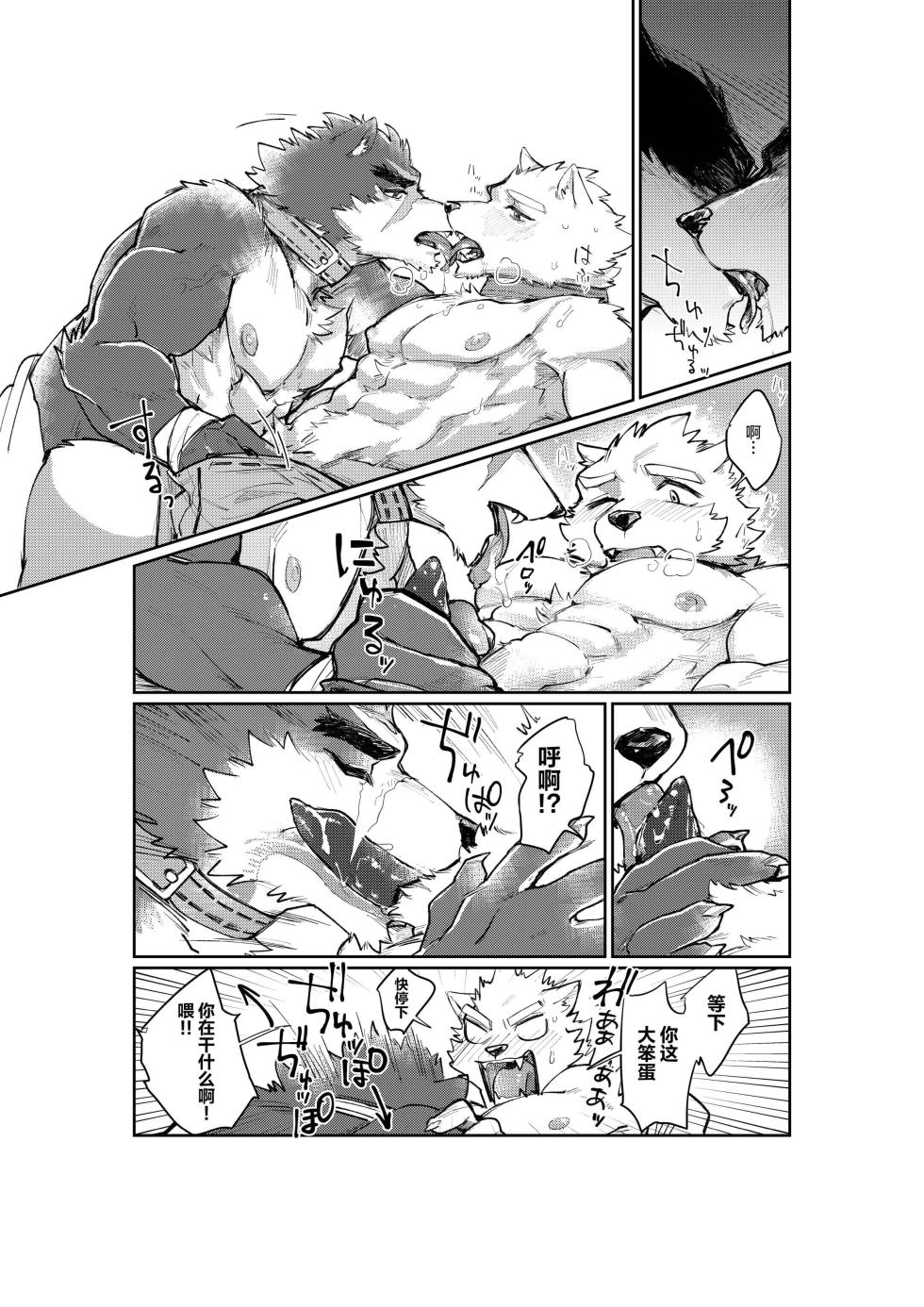 [Nankotsu Ryuuseigun(fuyoudo)]Feru to Raika|菲尔与莱卡(Shoukan Yuusha to F Kei Kareshi)[chinese][鲨克斯个人汉化] [Decensored][Digital] - Page 9