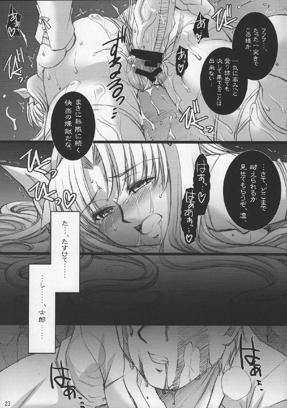 (COMIC1☆2) [H.B (B-RIVER)] Red Degeneration -DAY/3- (Fate/stay night) - Page 22
