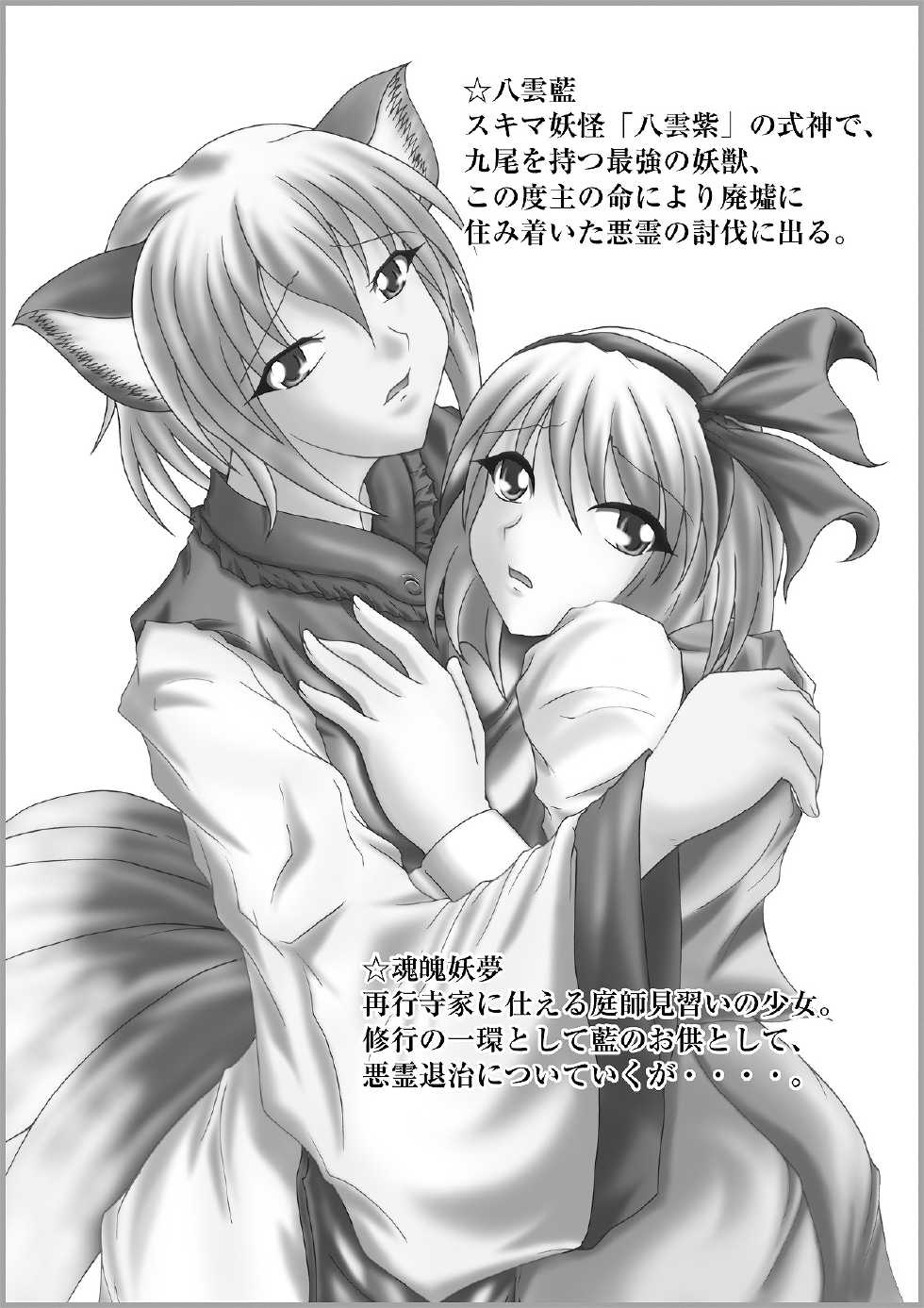 [Hirono D.C] Ribidoo Zenkai!! Vol.20 (Touhou) - Page 2