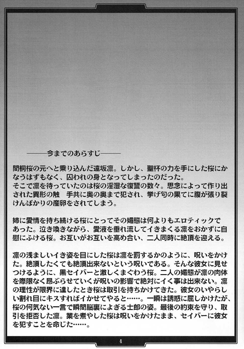 (C75) [H.B (B-RIVER)] Red Degeneration -DAY/4- (Fate/stay night) - Page 3