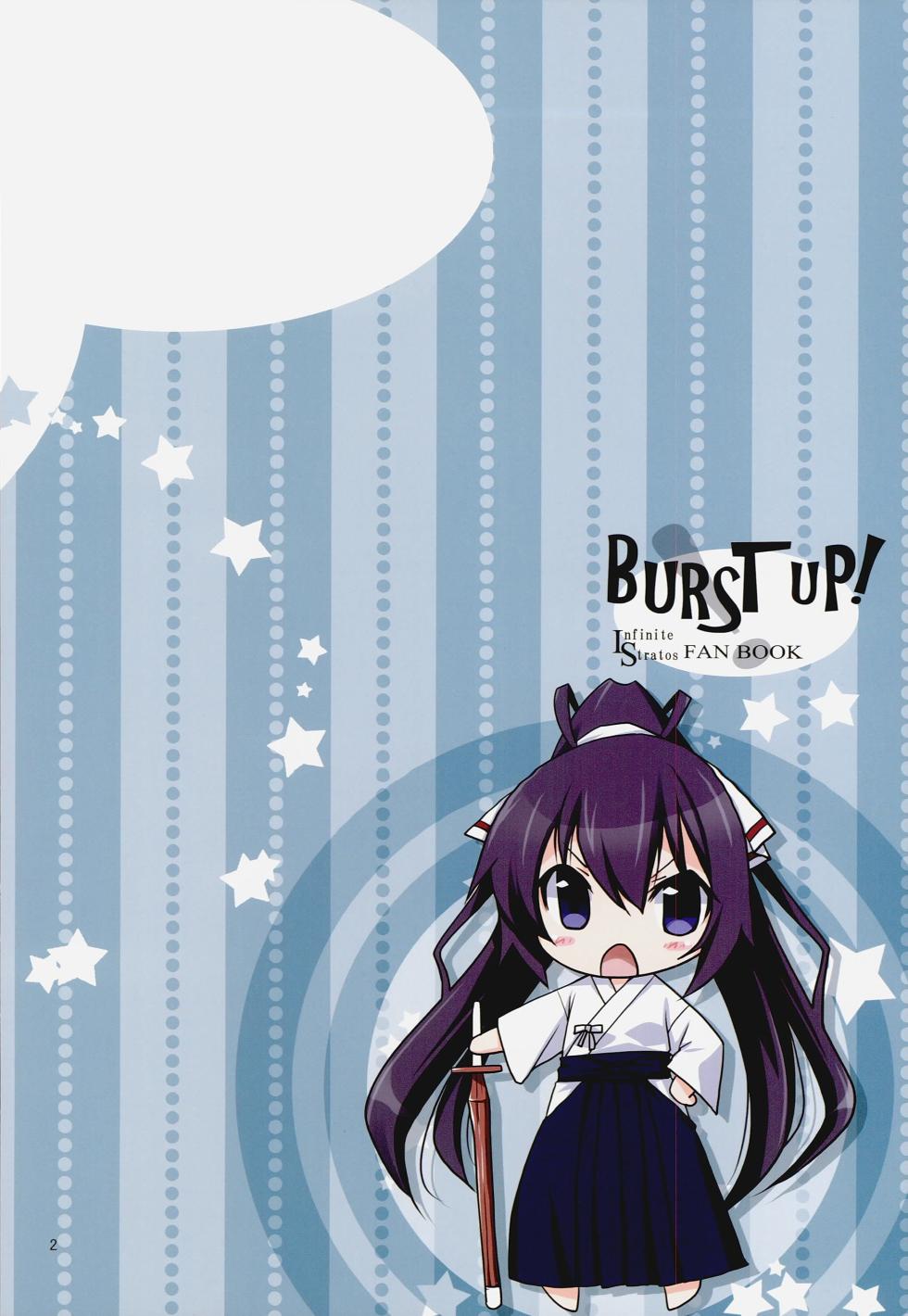 (C84) [Chagashi Saiban (Yamabuki Mook)] Burst Up! Infinite Stratos FAN BOOK (Infinite Stratos) - Page 2