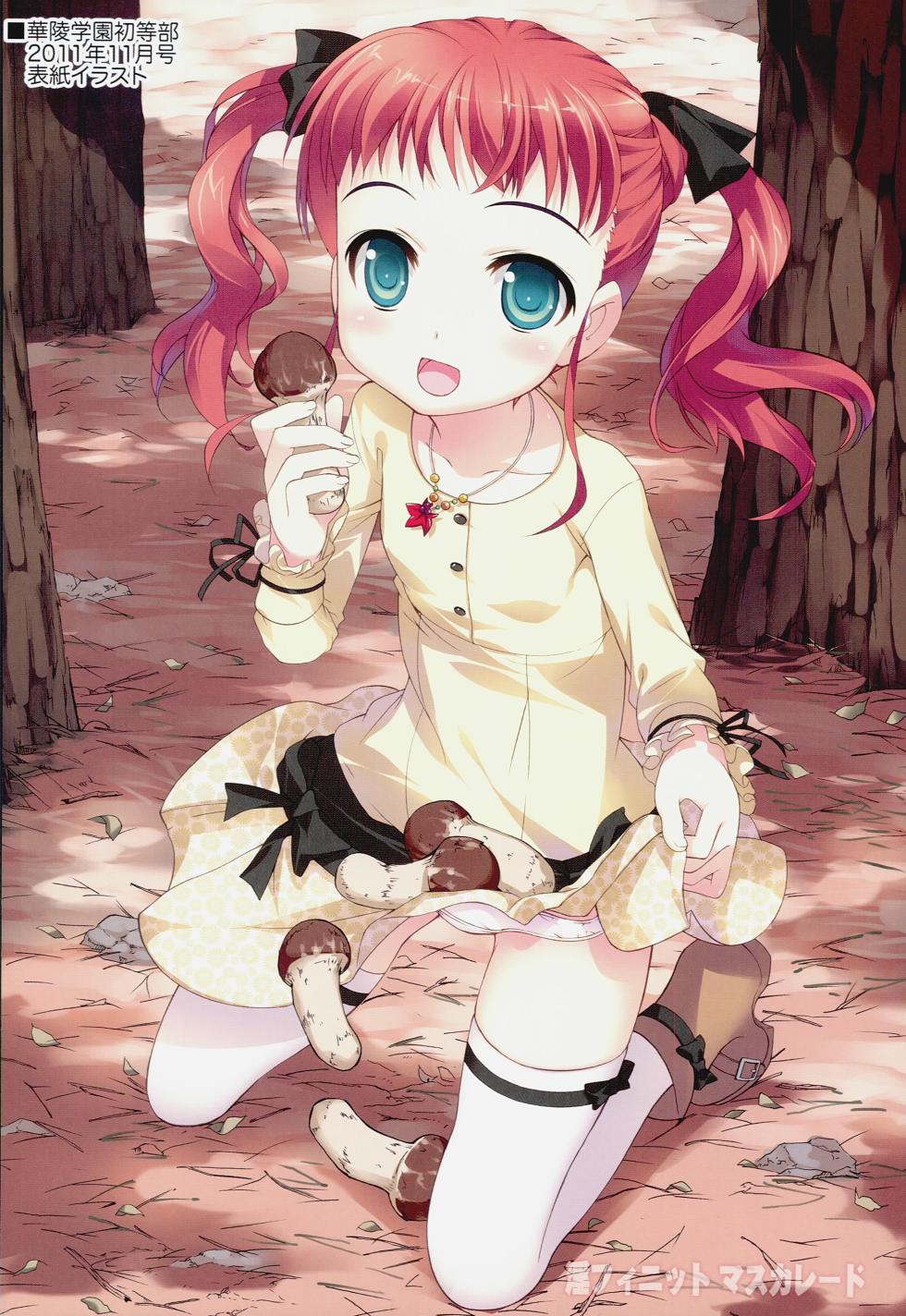 (C81) 	[Yan-Yam] Infinite Masuquerade (IS <Infinite Stratos>) - Page 7