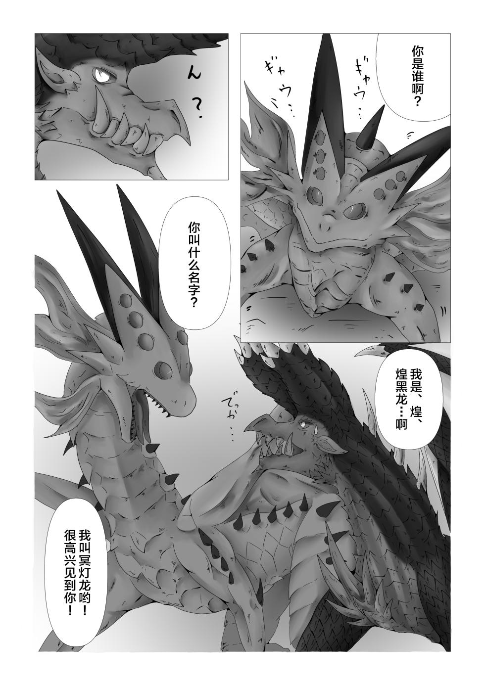 (Kemoket 13) [Kiri] Ryumyakuga Tsudoutani | 龙脉聚集之谷 (Monster Hunter) [Chinese] [ZX个人汉化] [Digital] - Page 3