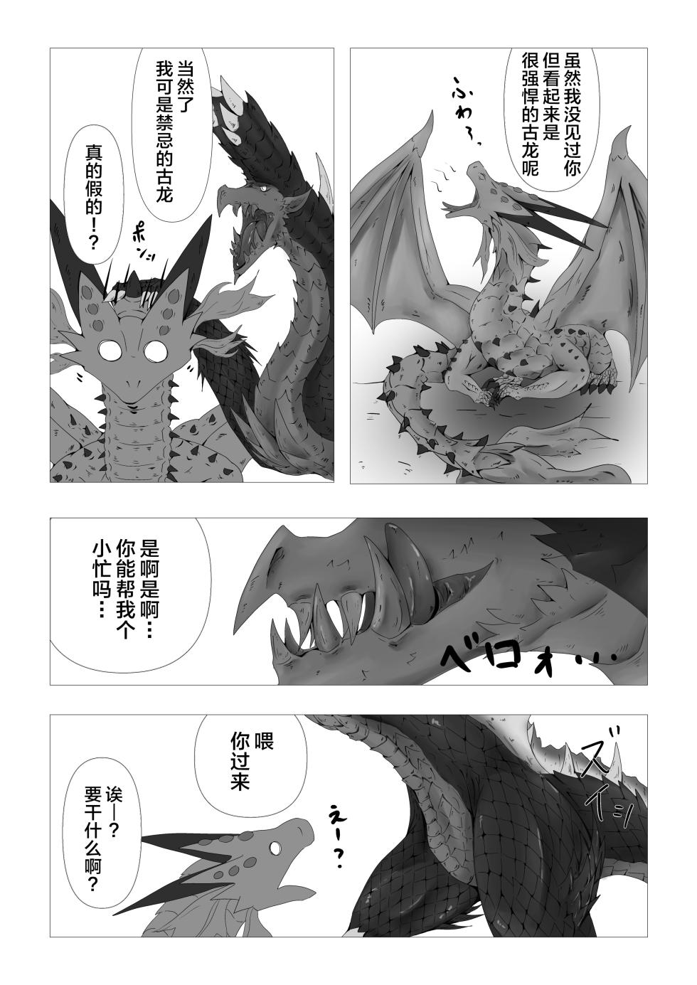 (Kemoket 13) [Kiri] Ryumyakuga Tsudoutani | 龙脉聚集之谷 (Monster Hunter) [Chinese] [ZX个人汉化] [Digital] - Page 4