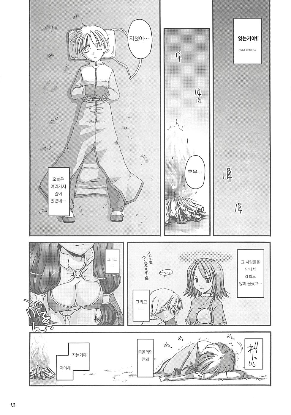 (C62) [Digital Lover (Nakajima Yuka)] D.L. Action 13 (Ragnarok Online) [Korean] - Page 12