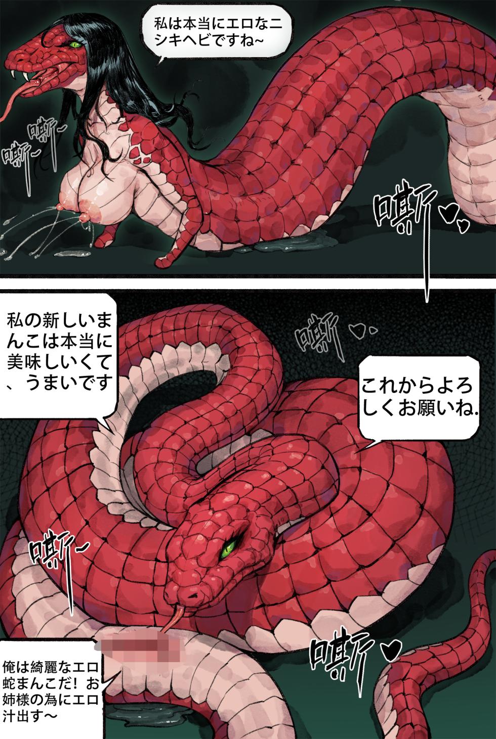 [WD1113] 与蛇妖融合 [Chinese] [Japanese] - Page 12