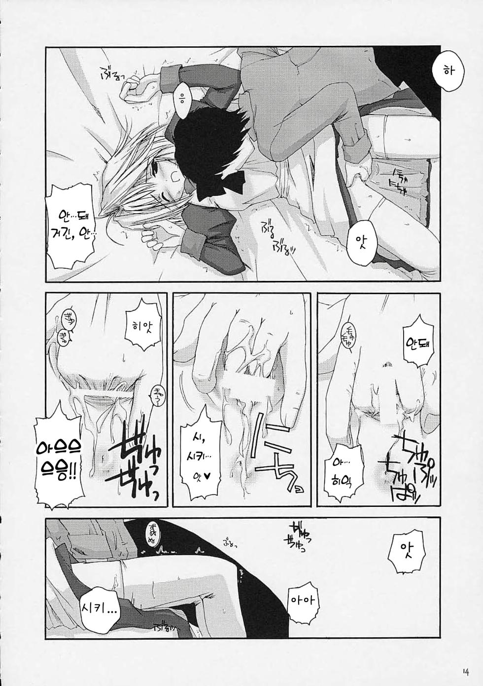 [Digital Lover (Nakajima Yuka)] Hakanatsuki | 맹월 (Tsukihime) [Korean] - Page 13