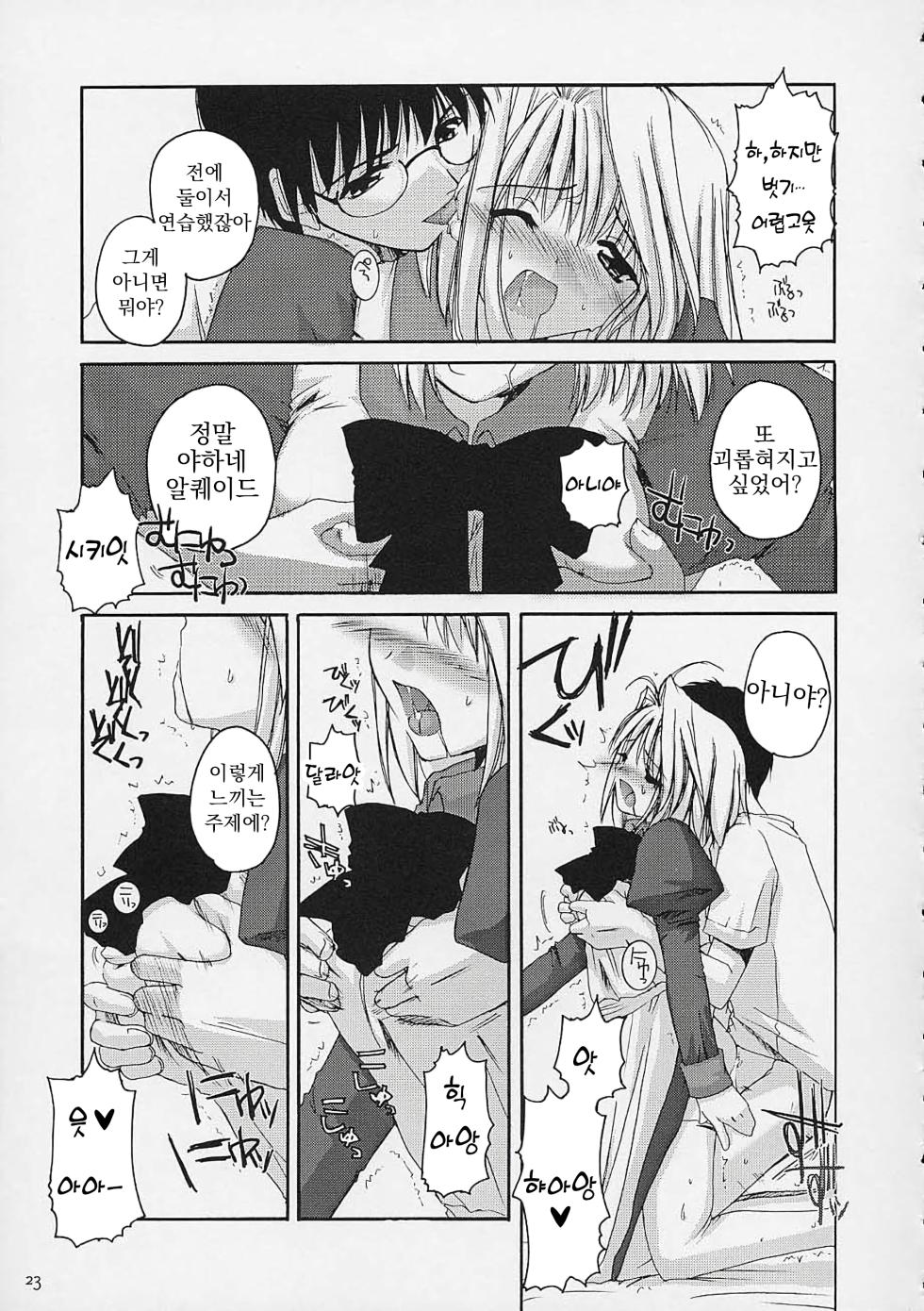 [Digital Lover (Nakajima Yuka)] Hakanatsuki | 맹월 (Tsukihime) [Korean] - Page 22