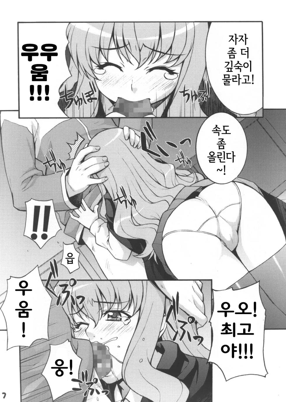 (C72) [Mix Fry (Takurou)] Louisem (Zero no Tsukaima) [Korean] - Page 6
