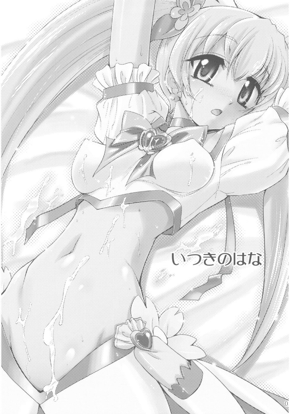 (C78) [YOKOSHIMAYA. (Yokoshima Takemaru)] Itsuki no Hana (HeartCatch Precure!) [Chinese] [个人团子翻译] - Page 3